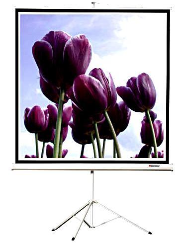 projection-tripod-screen